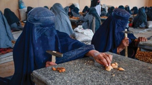 TOPSHOT - Afghan women workers prepare almonds at a factory on the outskirts of Aybak in Samangan ... TOPSHOT - Afghan women workers prepare almonds at a factory on the outskirts of Aybak in Samangan ...