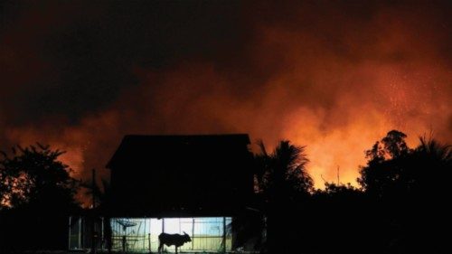 (FILES) A bull is seen in front of a house surrounded by fire from illegal burning in the Amazon ... (FILES) A bull is seen in front of a house surrounded by fire from illegal burning in the Amazon ...