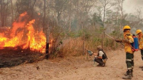 This handout picture released by the Bolivian Civil Defense shows Bolivia's armed forces forest ... This handout picture released by the Bolivian Civil Defense shows Bolivia's armed forces forest ...