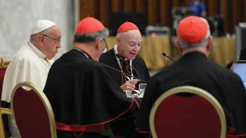 La sinodalità come stile di vita della Chiesa QUO-224 La sinodalità come stile di vita della Chiesa QUO-224