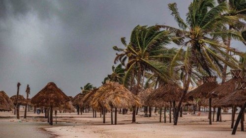 TOPSHOT - Palm trees hitting by strong winds are seen caused by rains from Hurricane Milton in ... TOPSHOT - Palm trees hitting by strong winds are seen caused by rains from Hurricane Milton in ...