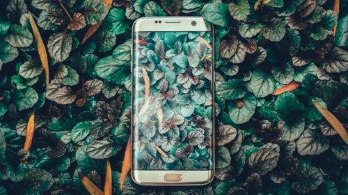 A Palermo con il telefonino si aiuta l’ambiente QUO-233 A Palermo con il telefonino si aiuta l’ambiente QUO-233