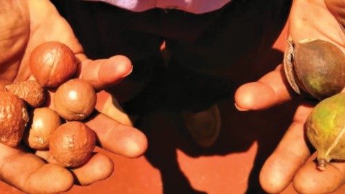  Pedagogia e azione: le sfide dell’ecologia integrale  QUO-245