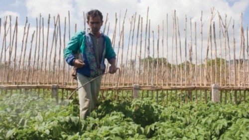 Un nuovo Mediterraneo fra giovani e agricoltura QUO-255 Un nuovo Mediterraneo fra giovani e agricoltura QUO-255