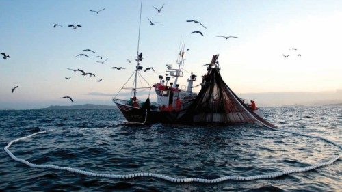 La pesca, molto di più di un lavoro QUO-267 La pesca, molto di più di un lavoro QUO-267