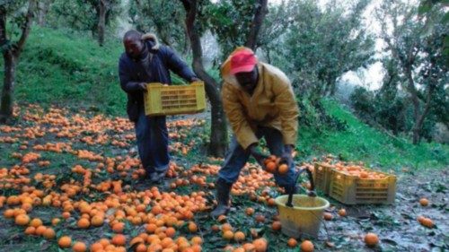 Braccianti “invisibili” nella Piana di Gioia Tauro QUO-277 Braccianti “invisibili” nella Piana di Gioia Tauro QUO-277