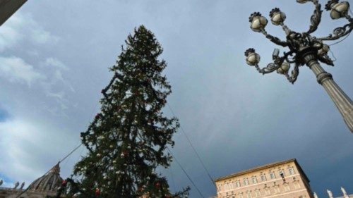 A large view shows the Christmas tree as Pope Francis (top R) addresses the crowd from the window of ... A large view shows the Christmas tree as Pope Francis (top R) addresses the crowd from the window of ...