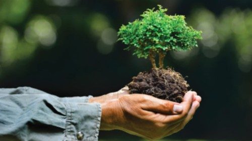 Farmer's hands holding a small tree on nature background Farmer's hands holding a small tree on nature background