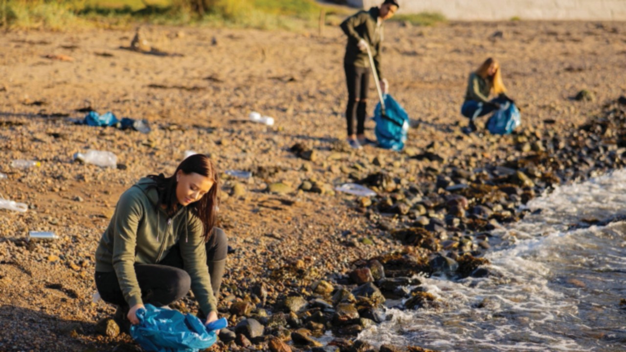 Dedicated woman picking up garbage in bag at beach. Volunteers are cleaning rocky shore on sunny ...