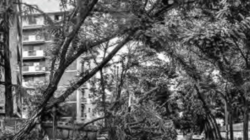 Città come palestre di un nuovo agire ecologico QUO-115 Città come palestre di un nuovo agire ecologico QUO-115