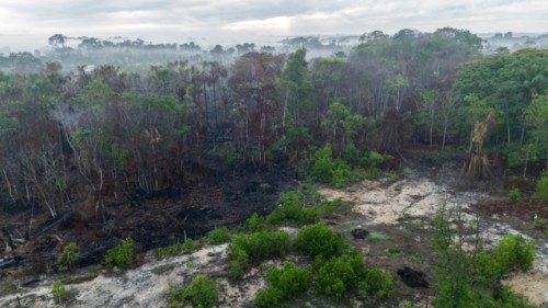 (FILES) Aerial view of land for sale after being affected by forest fires in the prime area of ... (FILES) Aerial view of land for sale after being affected by forest fires in the prime area of ...