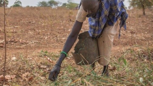 Mary Akoye picks wild leaves from the bush to eat. Since fleeing her home in Unity State in April ... Mary Akoye picks wild leaves from the bush to eat. Since fleeing her home in Unity State in April ...