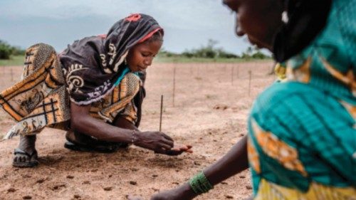  Rigenerare i terreni per rispondere alla crisi alimentare   e contrastare l’avanzata del deserto  ...