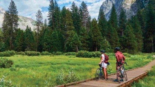 Il turismo come occasione di trasformazione sostenibile QUO-122 Il turismo come occasione di trasformazione sostenibile QUO-122