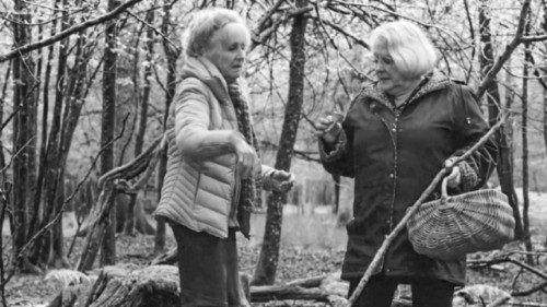  Madri, figlie e segreti:  le donne di «Sotto le foglie»  DCM-008