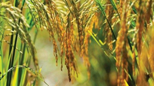Un’area di libero scambio per oltre 700 milioni di consumatori QUO-130 Un’area di libero scambio per oltre 700 milioni di consumatori QUO-130
