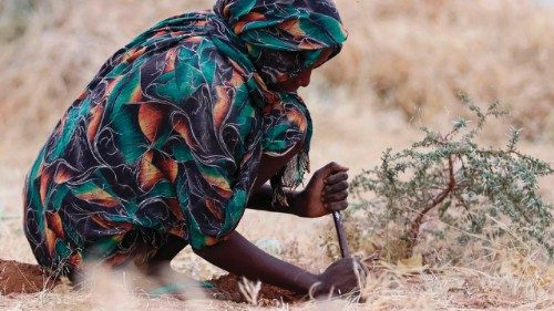 A displaced Sudanese woman forages at a camp near the town of Tawila in North Darfur on February 11, ... A displaced Sudanese woman forages at a camp near the town of Tawila in North Darfur on February 11, ...