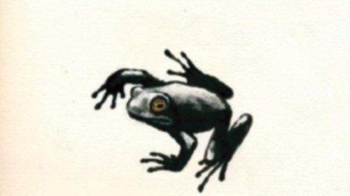 Ci si chiama solo per soprannome QUO-145 Ci si chiama solo per soprannome QUO-145