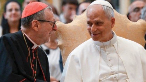 Papa Leone XIV durante l'udienza alla Roaco (Riunione delle Opere per l'Aiuto alle Chiese ...