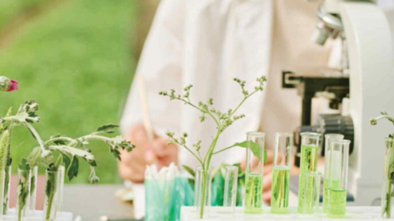 Researcher working in agricultural laboratory with microscope and test tubes filled with green ...