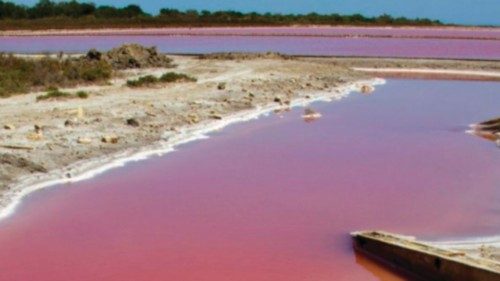 Nella morsa di crisi idrica e inquinamento QUO-165 Nella morsa di crisi idrica e inquinamento QUO-165