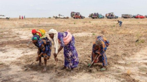 Women working in a field in Monguno, Borno state, Nigeria, on July 5, 2025. Twelve checkpoints ...