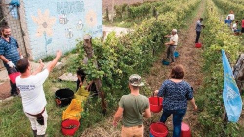 Il servizio civile agricolo ora è realtà QUO-173 Il servizio civile agricolo ora è realtà QUO-173