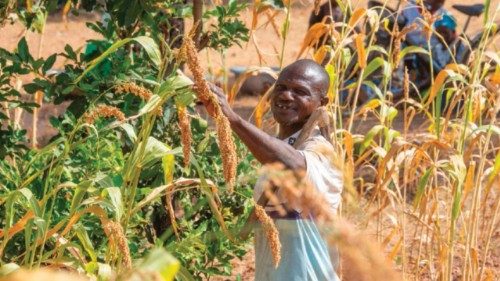 Rendere fertile il Sahel è una sfida possibile QUO-177 Rendere fertile il Sahel è una sfida possibile QUO-177