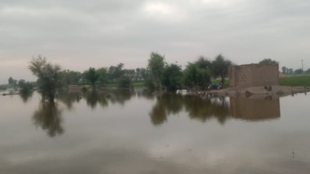  Pakistan e India devastate dalle alluvioni:  centinaia di morti e migliaia di sfollati  QUO-188