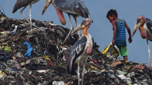 A boy searches for recyclable materials next to greater adjutant storks at a garbage dumpsite in ...