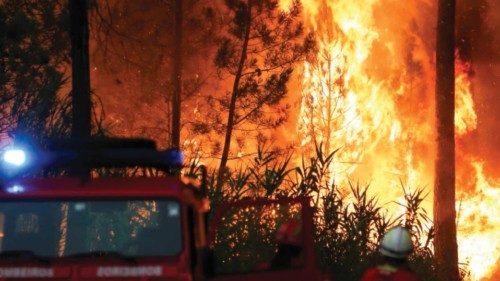  O Papa reiterou a obrigação moral de tutelar a casa comum  POR-029