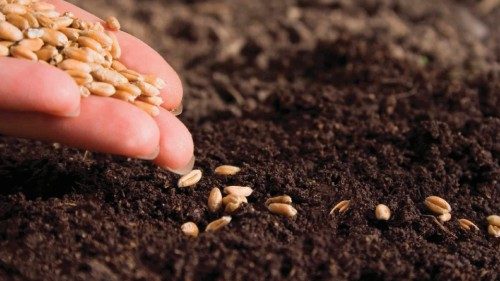 Um sistema agrícola e alimentar mais inclusivo e sustentável POR-008 Um sistema agrícola e alimentar mais inclusivo e sustentável POR-008