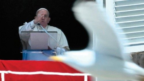 A gull flies in front of Pope Francis as he delivers his blessing to pilgrims during his Regina ... A gull flies in front of Pope Francis as he delivers his blessing to pilgrims during his Regina ...