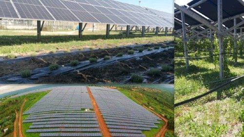 O Vaticano terá um sistema agrovoltaico para a autonomia energética POR-026 O Vaticano terá um sistema agrovoltaico para a autonomia energética POR-026
